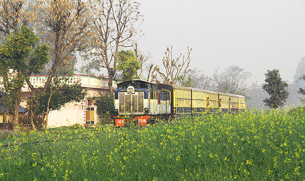A Spectacular Narrow Gauge through the Ravines of Beas