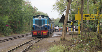 Exploring a Tiny Part of Tiny Trains in Central India