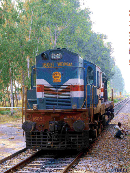 DSCN0733gonda