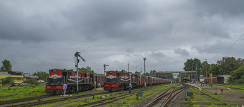 Psgr1