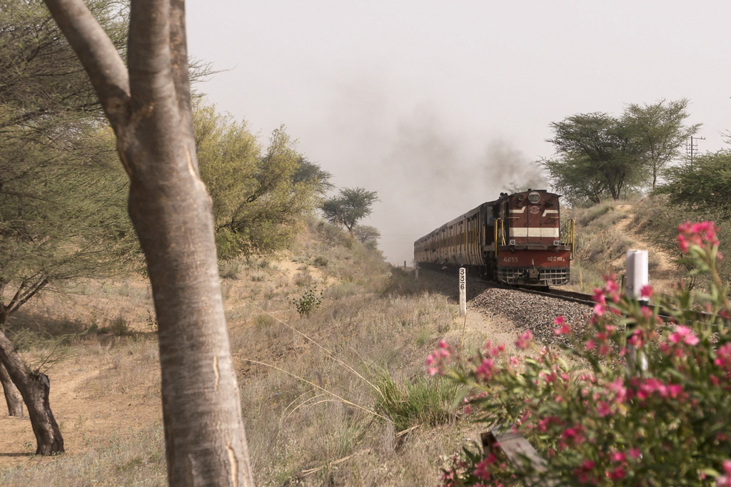 in a cutting near laxmangarh