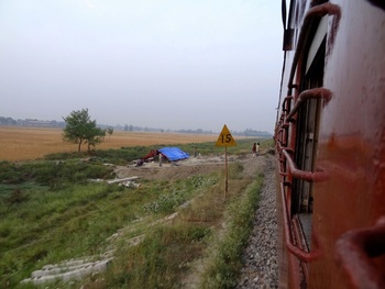 DSC05784