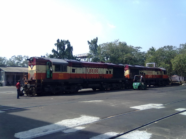 WDM-3A twins 18800 & 18801. Taken at Diesel Loco Shed, Visakhapatnam; December, 2013. (Teja Teppala)