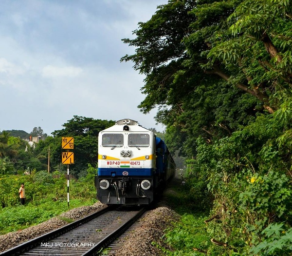 19399515_1408305009263912_4740990091001299842_n