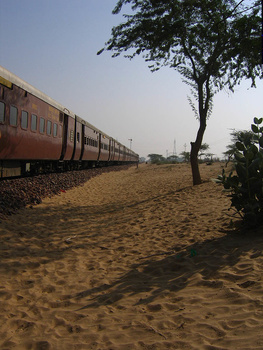 Desert Sands - Shanx, Bharat Moro.