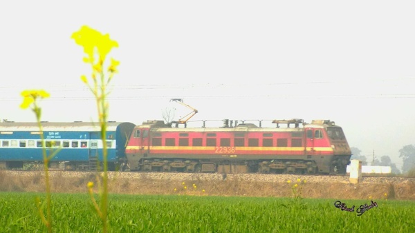 PicsArt_02-20-11.43.36