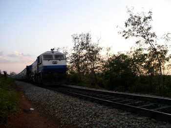 P1260028.jpg