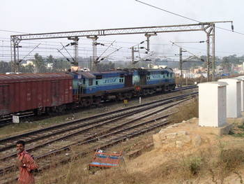 P1250028.jpg