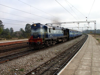 P1250039.jpg