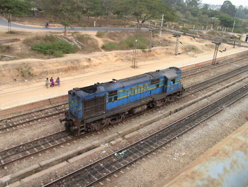 P1250049.jpg