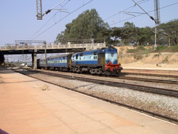 P1250064.jpg