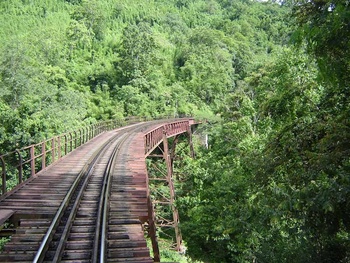 Elegant Bridges that just disappear into the trees