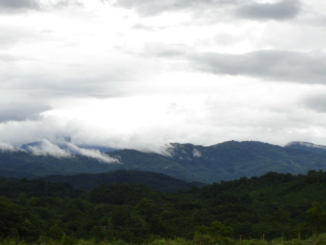 Rooftop view of the Barail Landscape