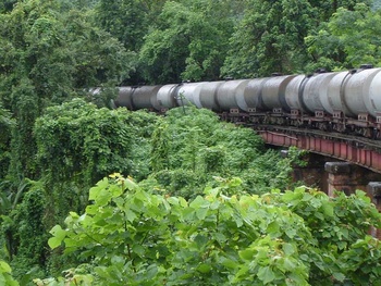 The front half of this POL rake is swallowed alive by the forest