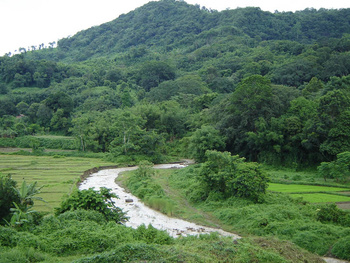 Behind Daotuhaja station.jpg