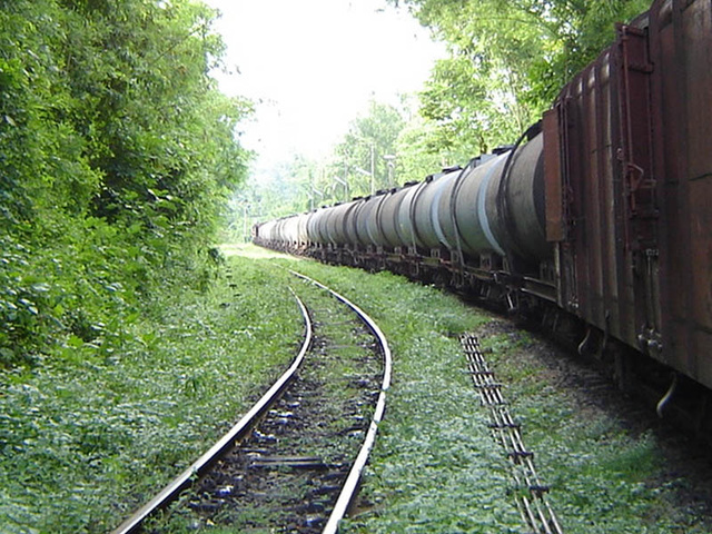 Jungle Station Dijaobra - imagine waiting for a train here at night!