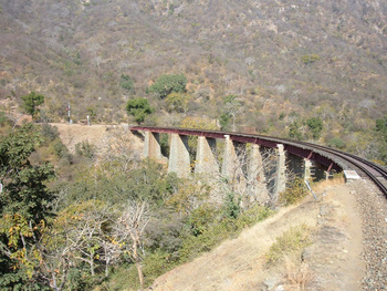 Curved Beauty of Goramghat