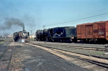 YP 2723-1.jpg