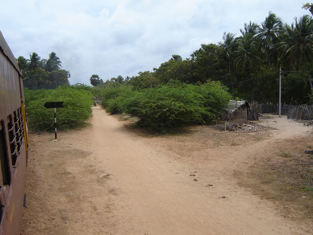 The abandoned alignment from Pamban to Dhanushkodi proves useful for a tractor