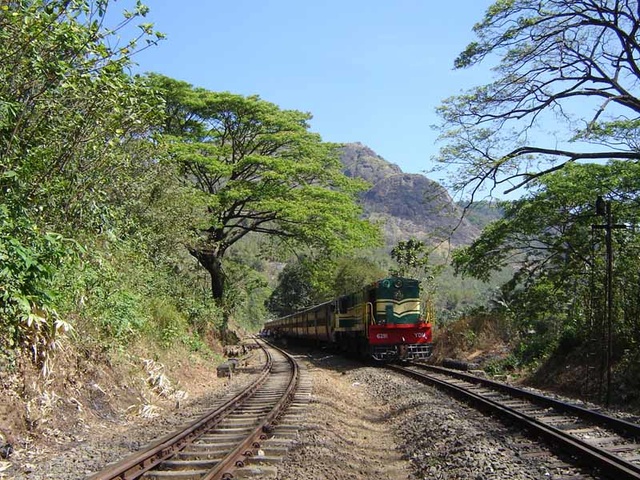 The magnificent setting of Aryankavu station. The lamp post at right is 180 m from the SM's office and serves as a visibility ra