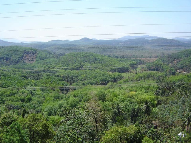 Range after range of hills stretch southward, a view that even the pesky telegraph wires can't detract from