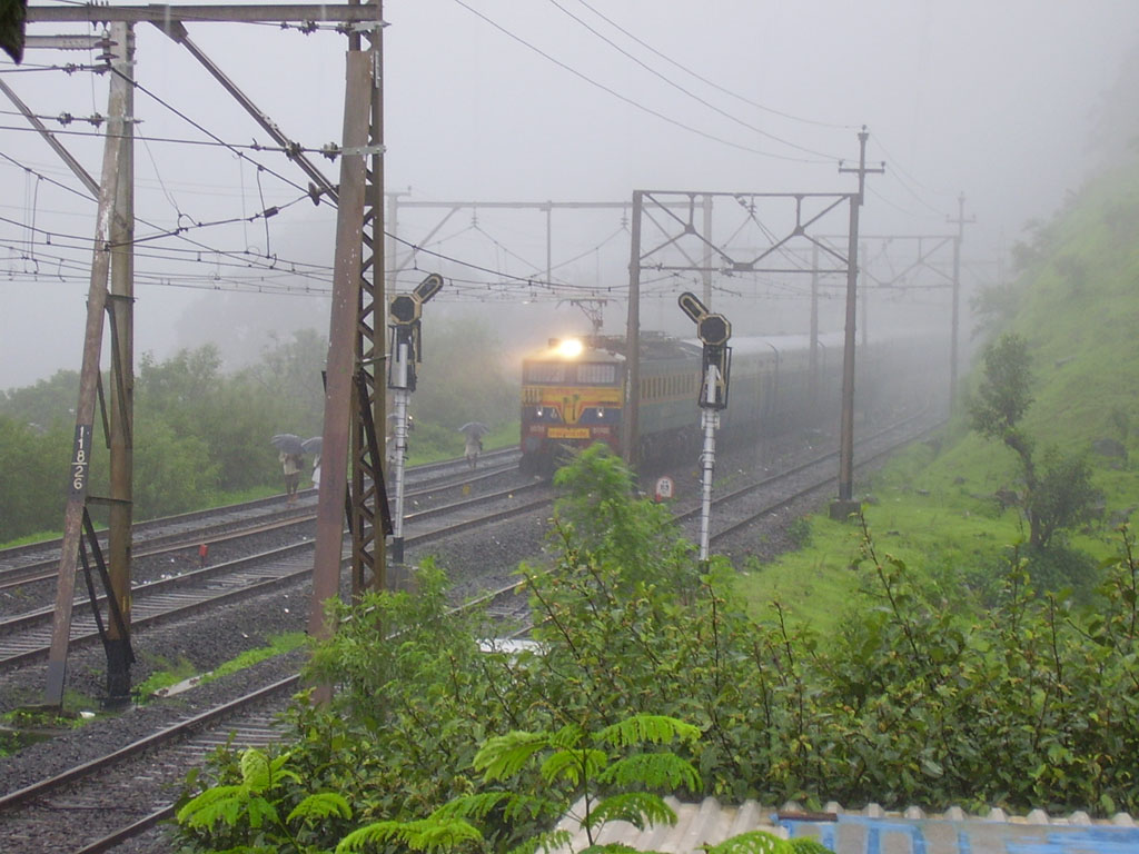 dq_misty_mhc