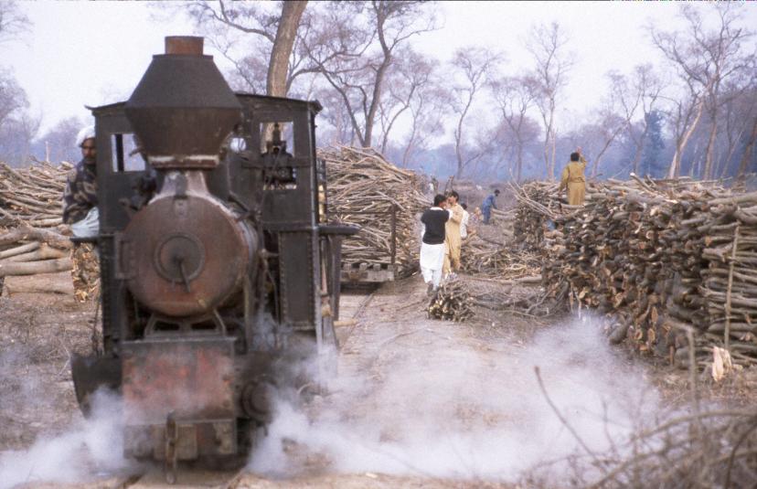 A John Fowler locomotive waits as logs are loaded on to the train. Photo by Roland Ziegler, 1996.