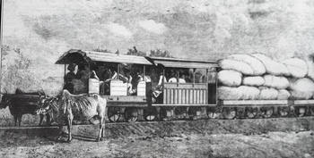 Bullock-hauled train of the Gaekwar of Baroda's state railway